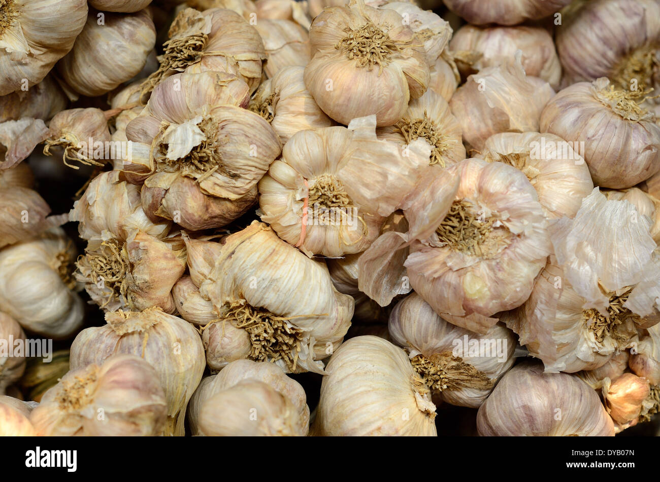 Molti di aglio essiccato al mercato Tailandese Foto Stock