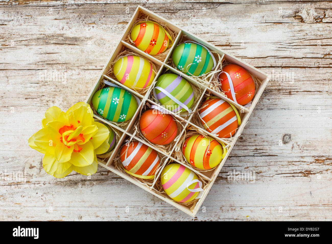Uova colorate in una scatola con daffodil Foto Stock