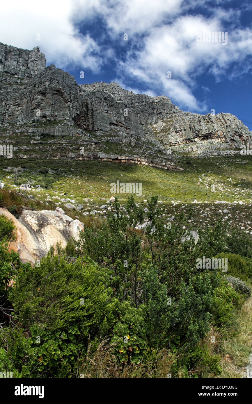 Il Table Mountain a Cape Town, Sud Africa. Foto Stock