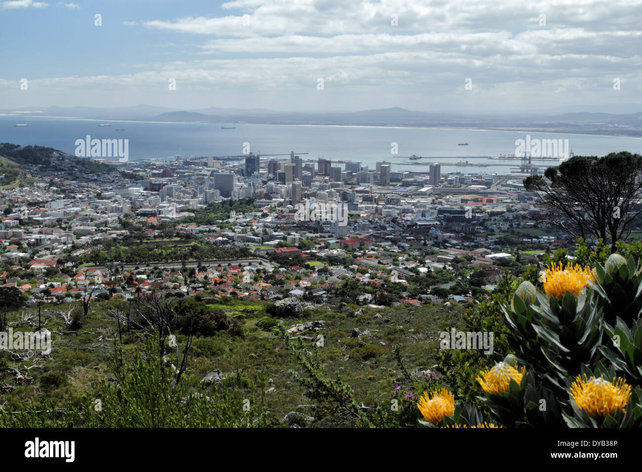 Vista sulla Città del Capo dal piede della montagna della tavola. Foto Stock