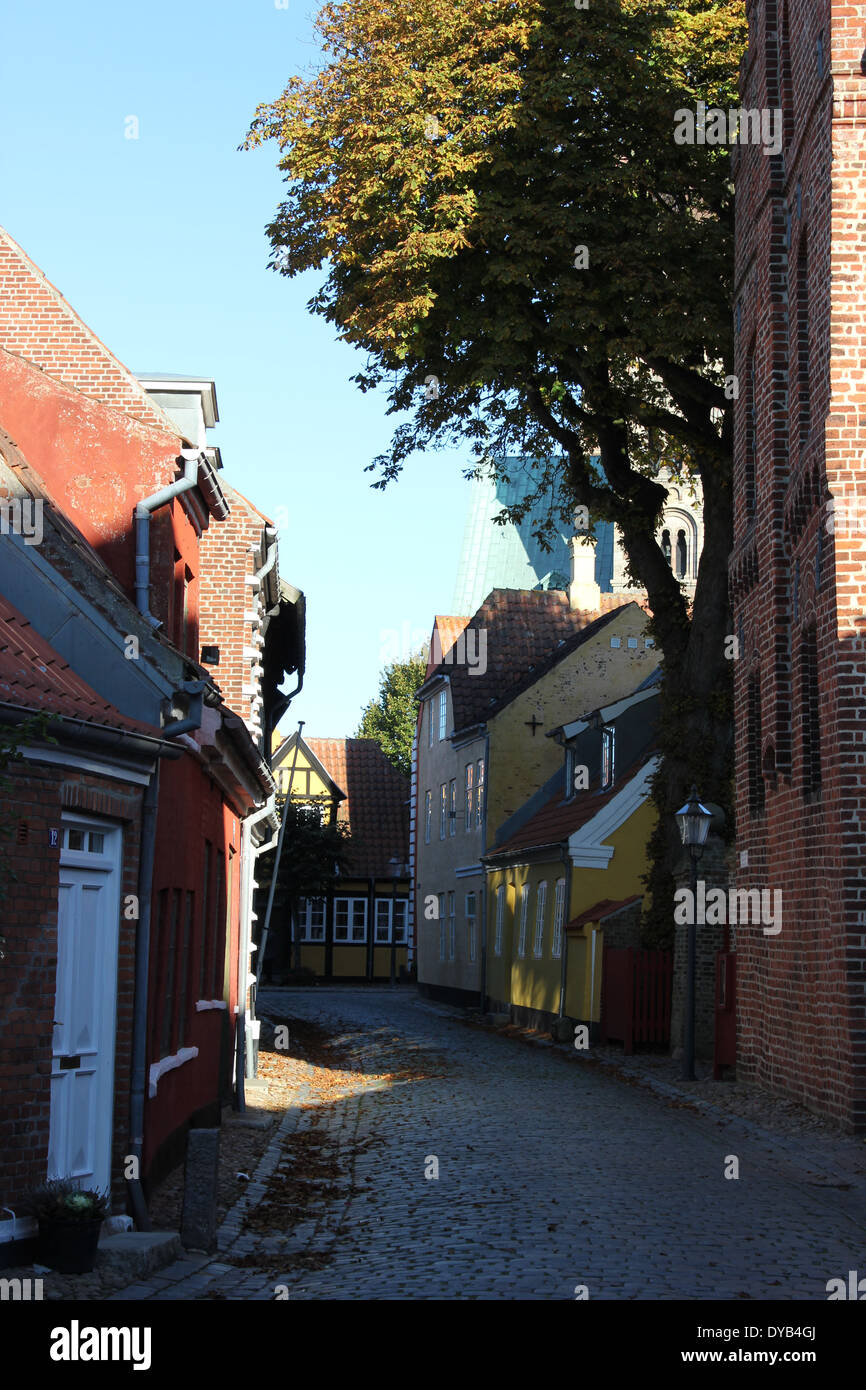 Guardare una piccola strada nel centro storico della città medievale di Ribe, Danimarca, Europa - Il più antico borgo in Scandinavia Foto Stock