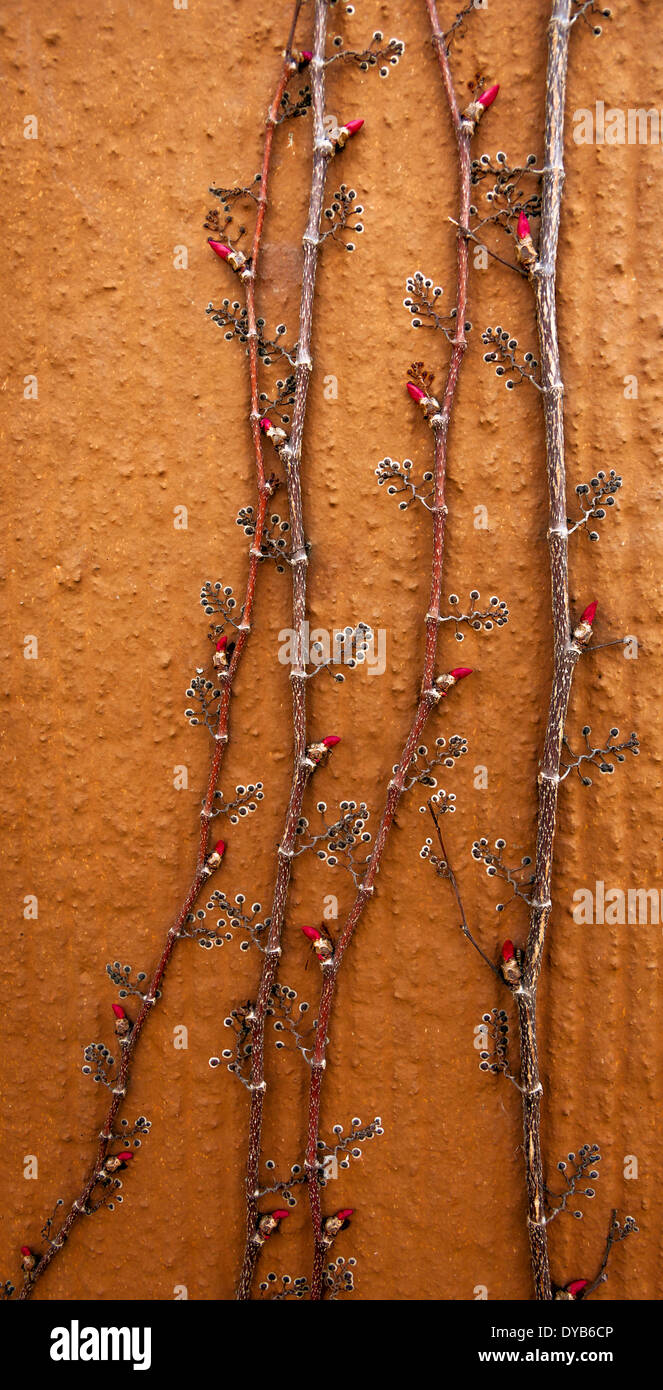 Sullo sfondo della natura - arbusto rampicante con boccioli sulla parete arancione Foto Stock