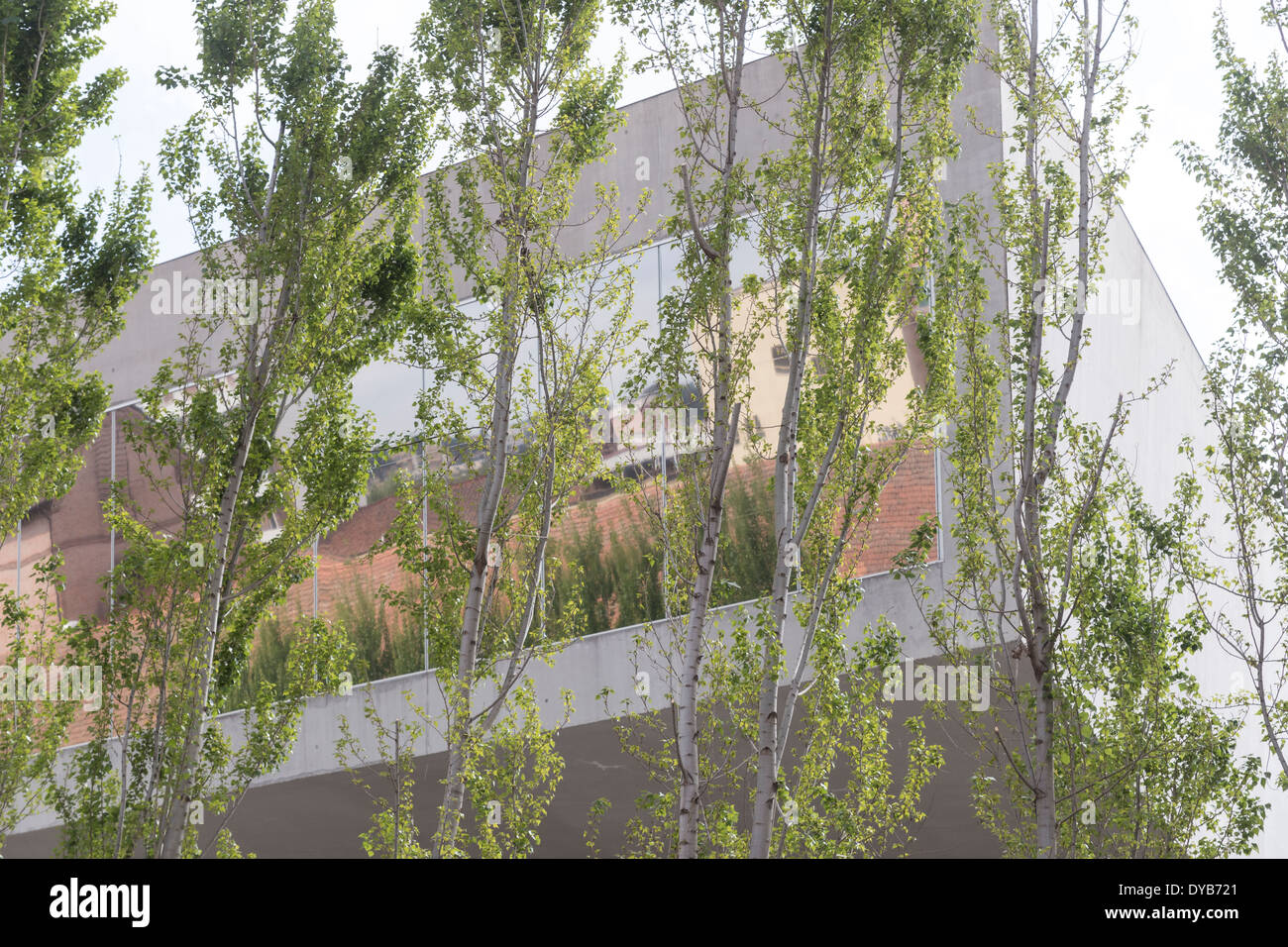 Intorno al MAXXI, il museo di arte del XXI secolo Foto Stock