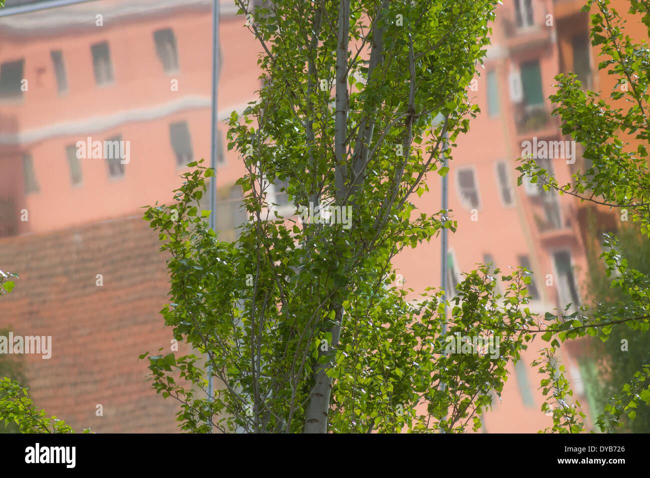 Intorno al MAXXI, il museo di arte del XXI secolo Foto Stock