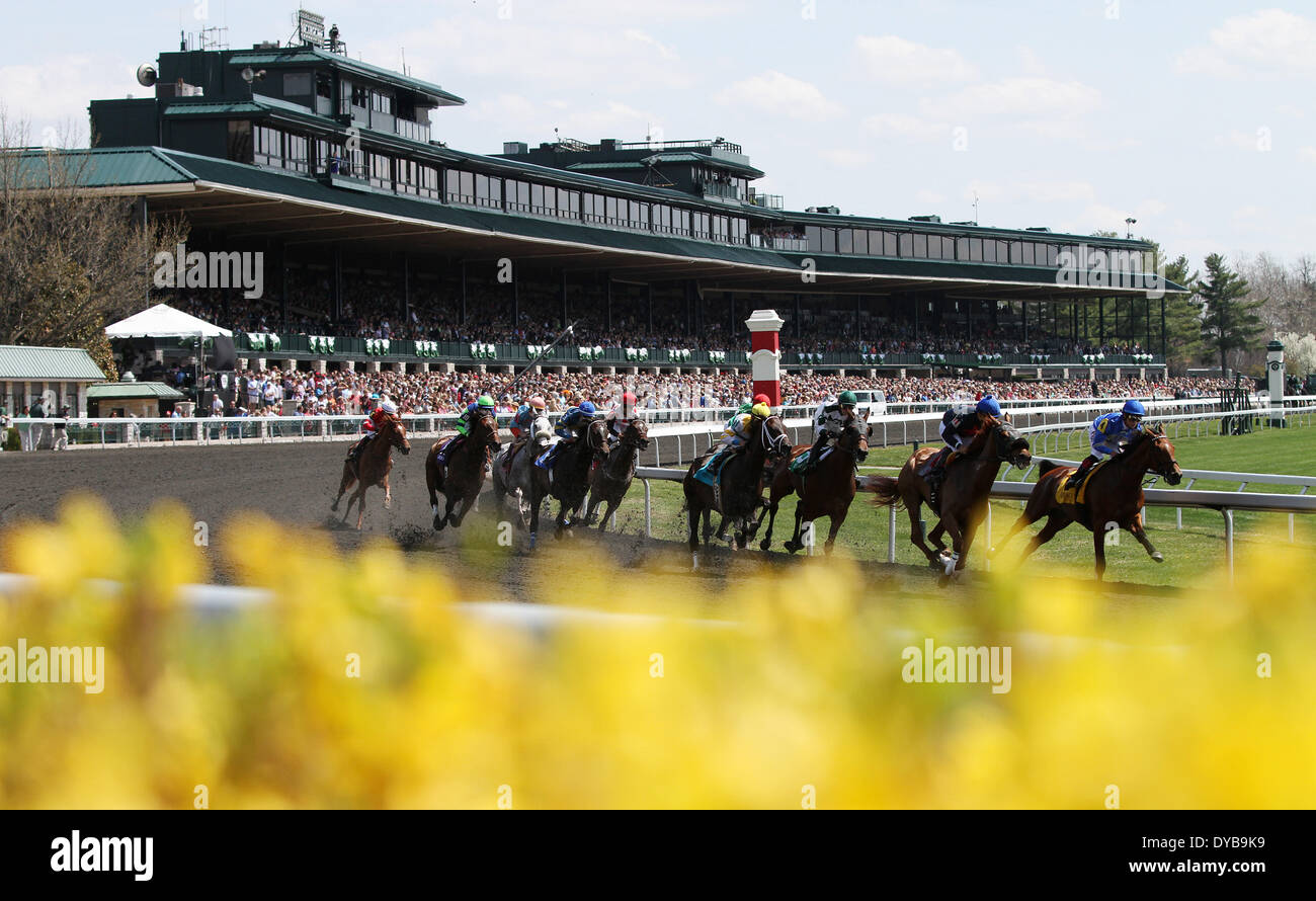 Lexington, KY, Stati Uniti d'America. Xii Apr, 2014. Aprile 12, 2014: Keeneland è giorno di Bluegrass stakes card è diventata la seconda più grande folla nella storia della via con le presenze 39,722. Candice Chavez/ESW/CSM/Alamy Live News Foto Stock