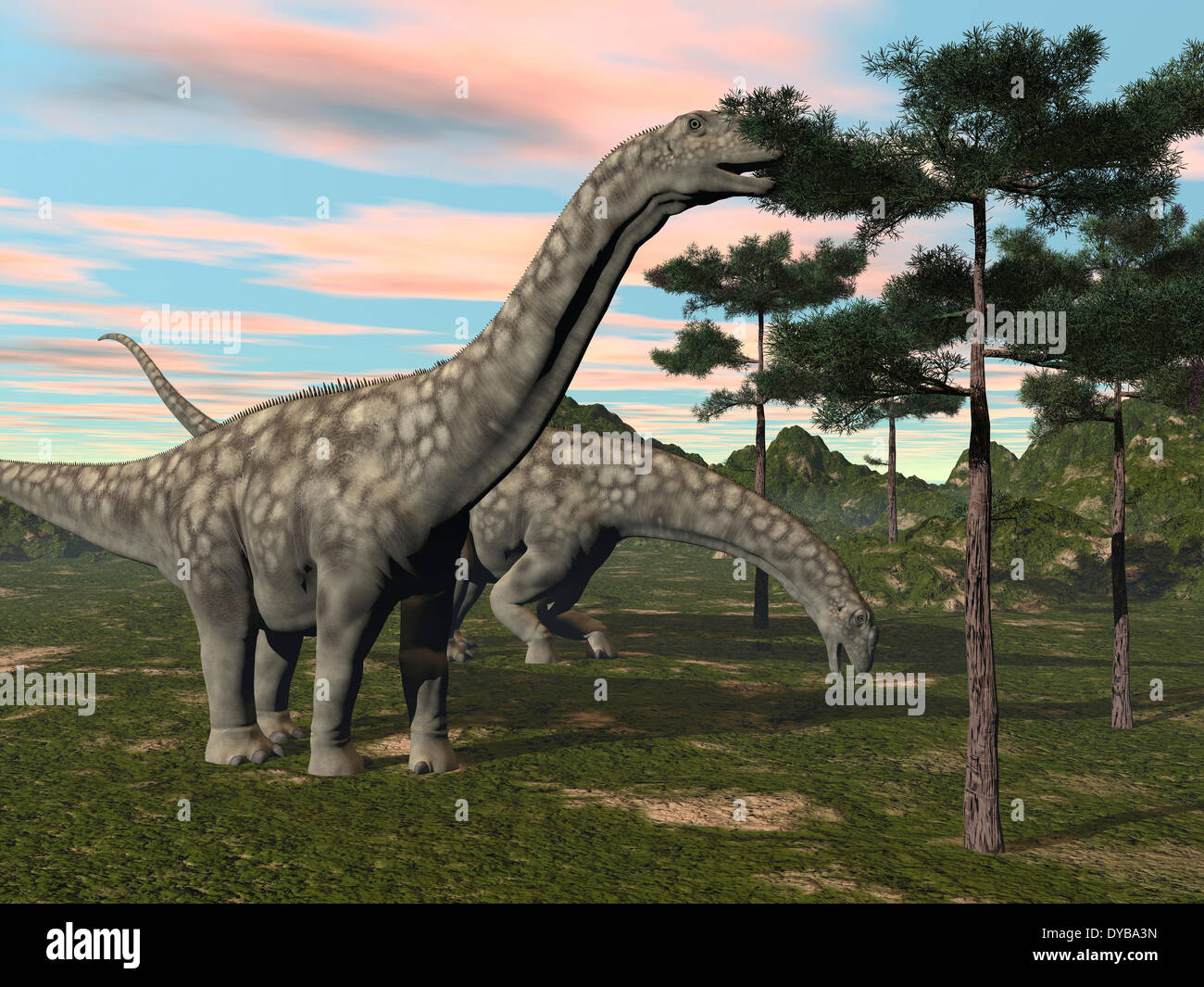 Dinosauro Argentinosaurus pascolare sulle cime degli alberi. Foto Stock