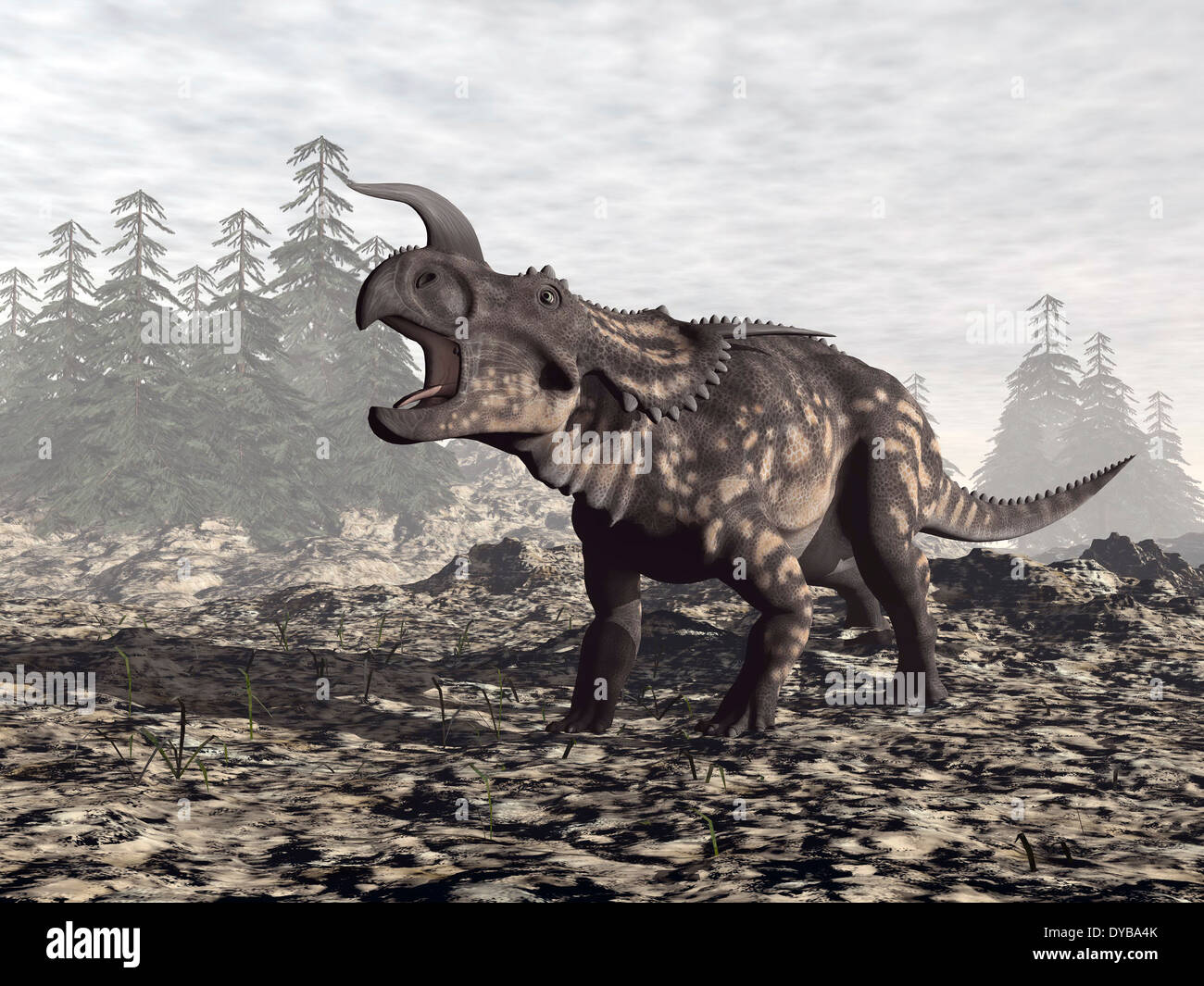 Dinosauro Einiosaurus ruggente in natura. Foto Stock