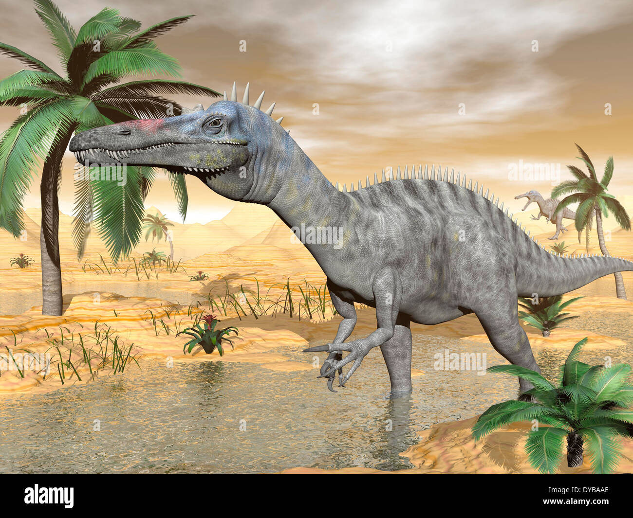 Suchomimus dinosauro a piedi in acqua nel paesaggio del deserto. Foto Stock