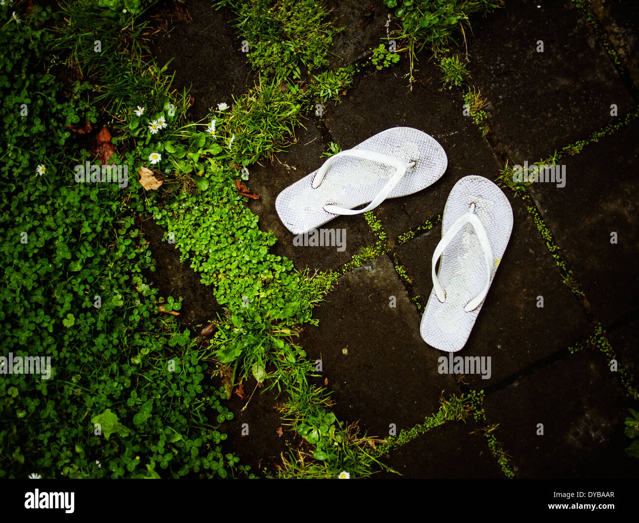 Jandals Foto Stock