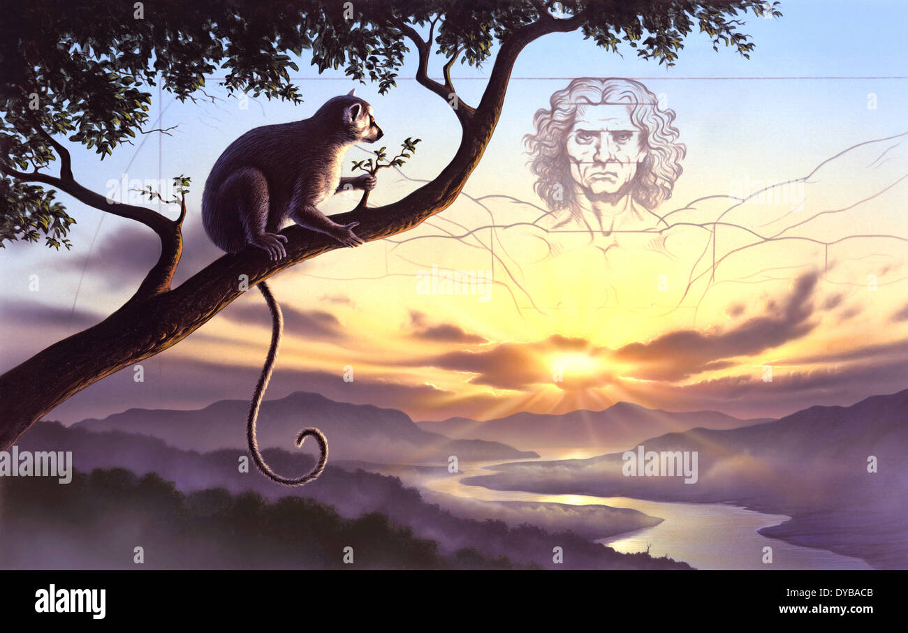 Notharctus siede su un ramo di albero con l'uomo vitruviano come sfondo nel cielo. Foto Stock