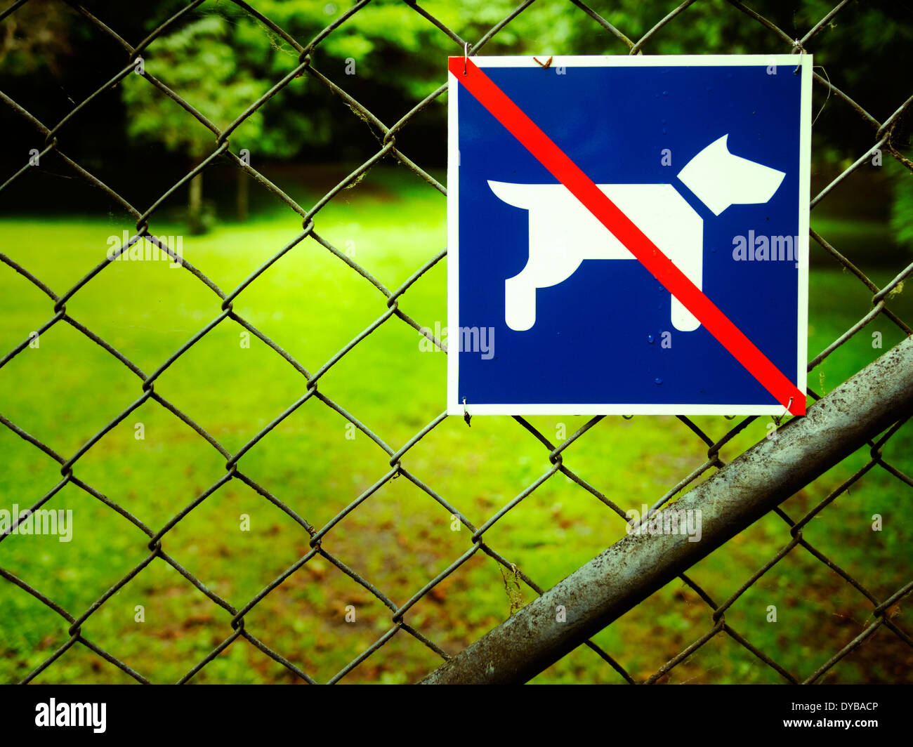 Cani non ammessi Foto Stock