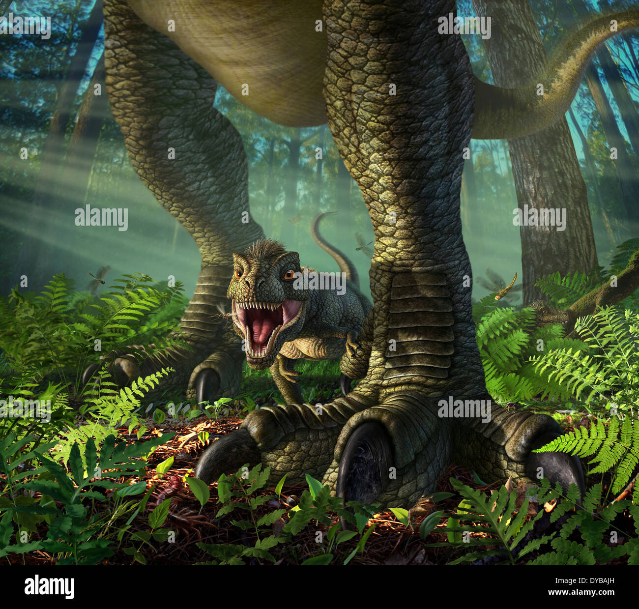 Un bambino Tyrannosaurus Rex ruggisce defiantely mentre in piedi in modo sicuro tra it's madre gambe. Foto Stock