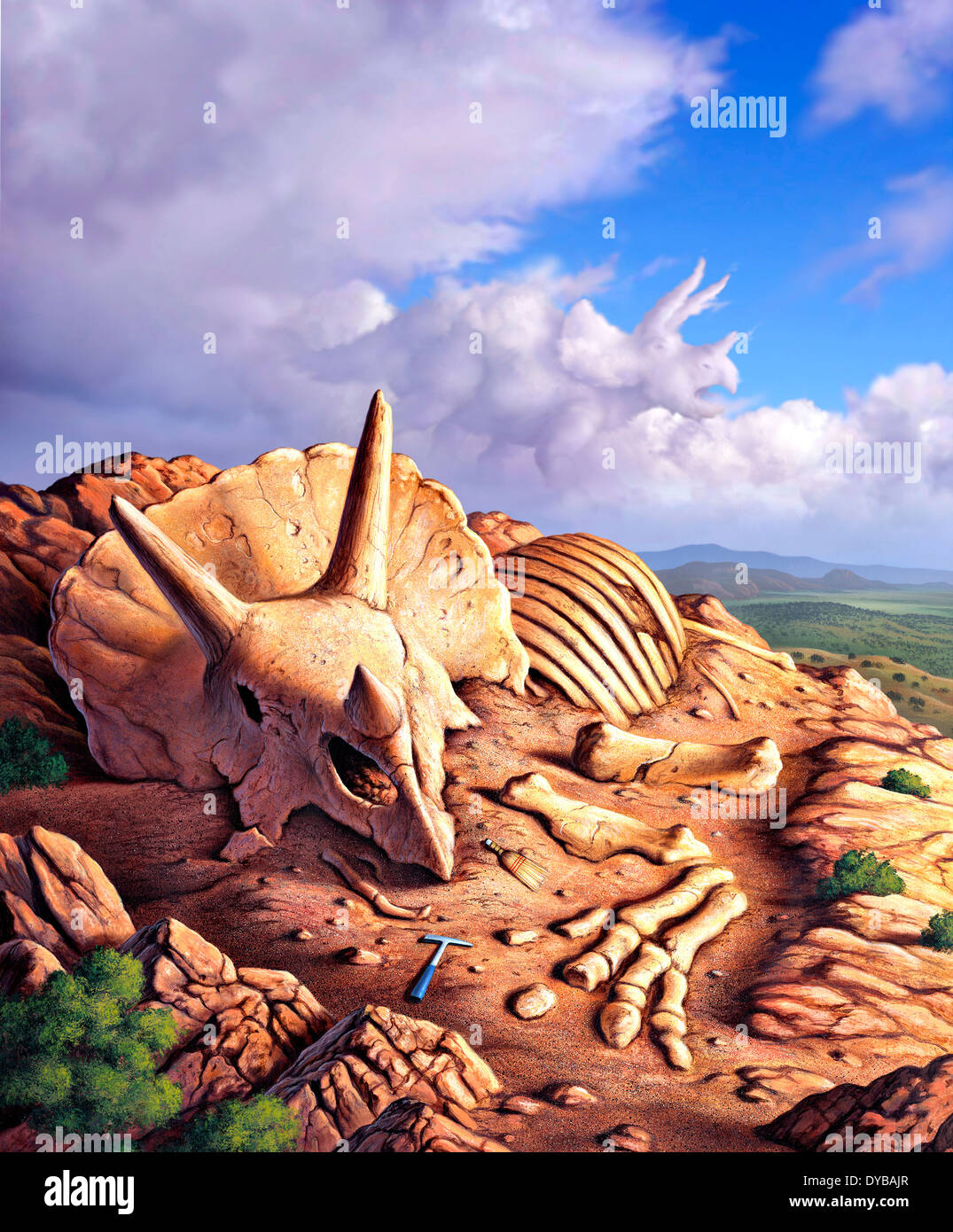 L'esposto le ossa di un Triceratops su un paesaggio occidentale con la sua apparizione che figurano tra le nuvole. Foto Stock