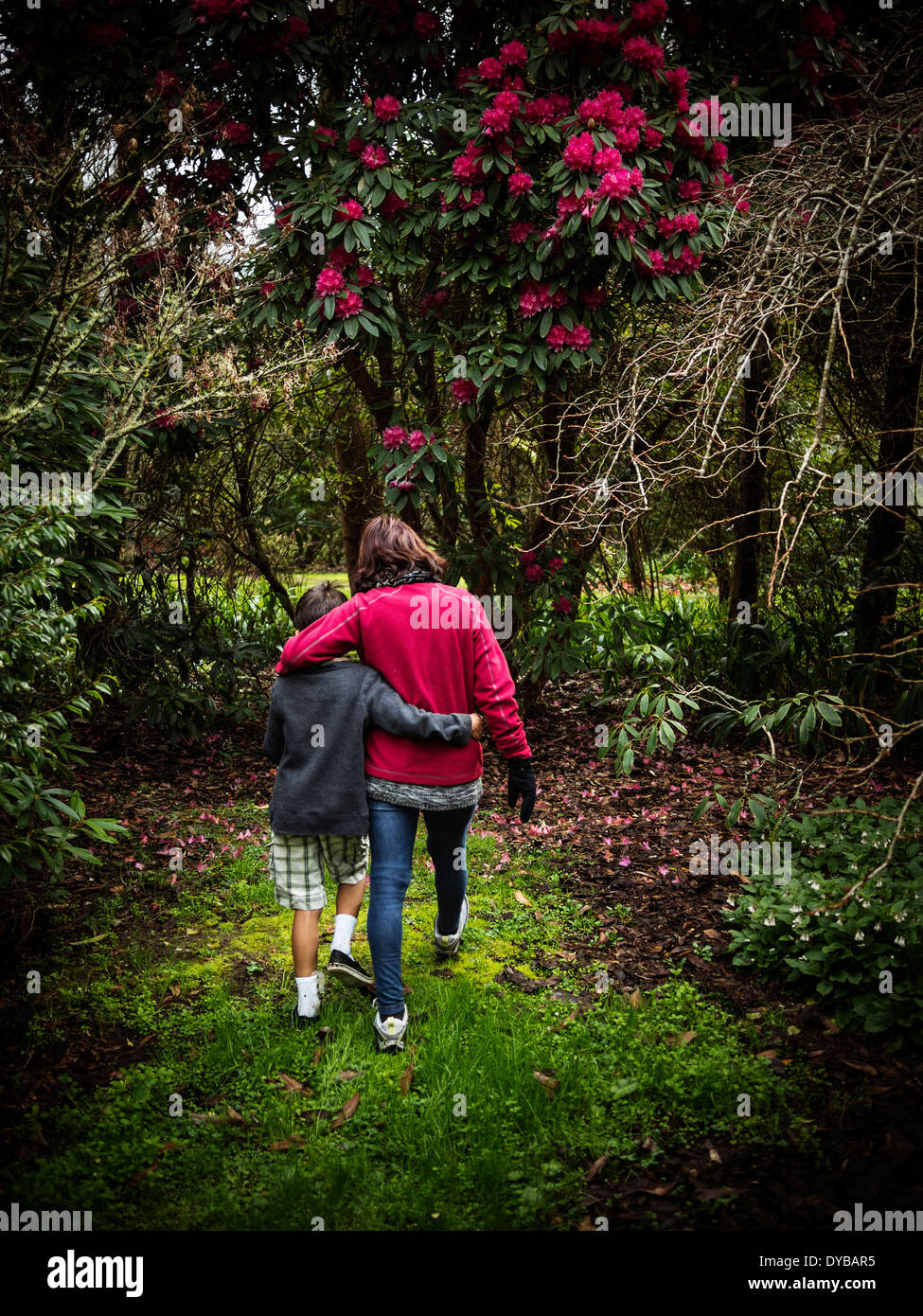 Madre e figlio passeggiate nel parco Foto Stock