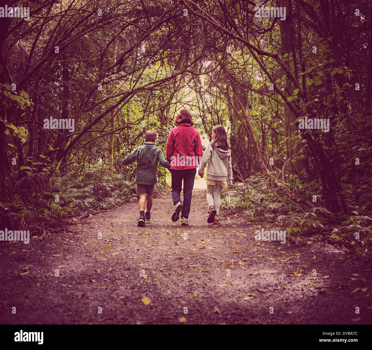 Madre e bambini a piedi nei boschi Foto Stock
