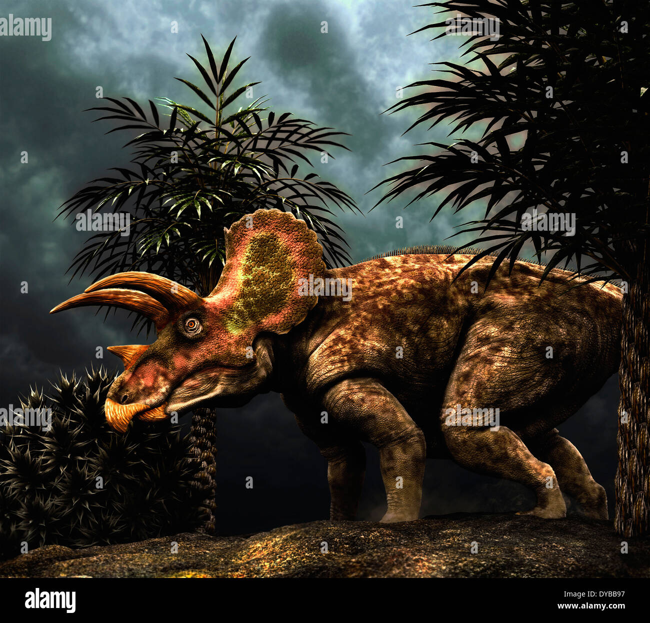 Triceratops era un dinosauro erbivori dal Cretaceo. Foto Stock