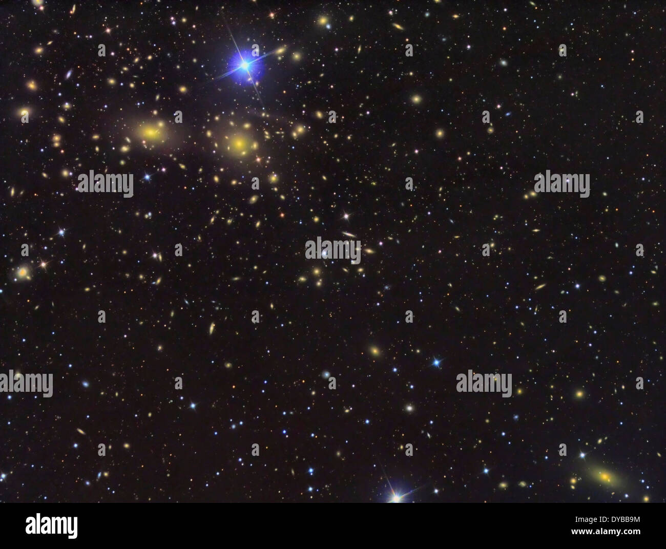 IC 3949, campo profondo di galassie nella Chioma di Berenice. Foto Stock