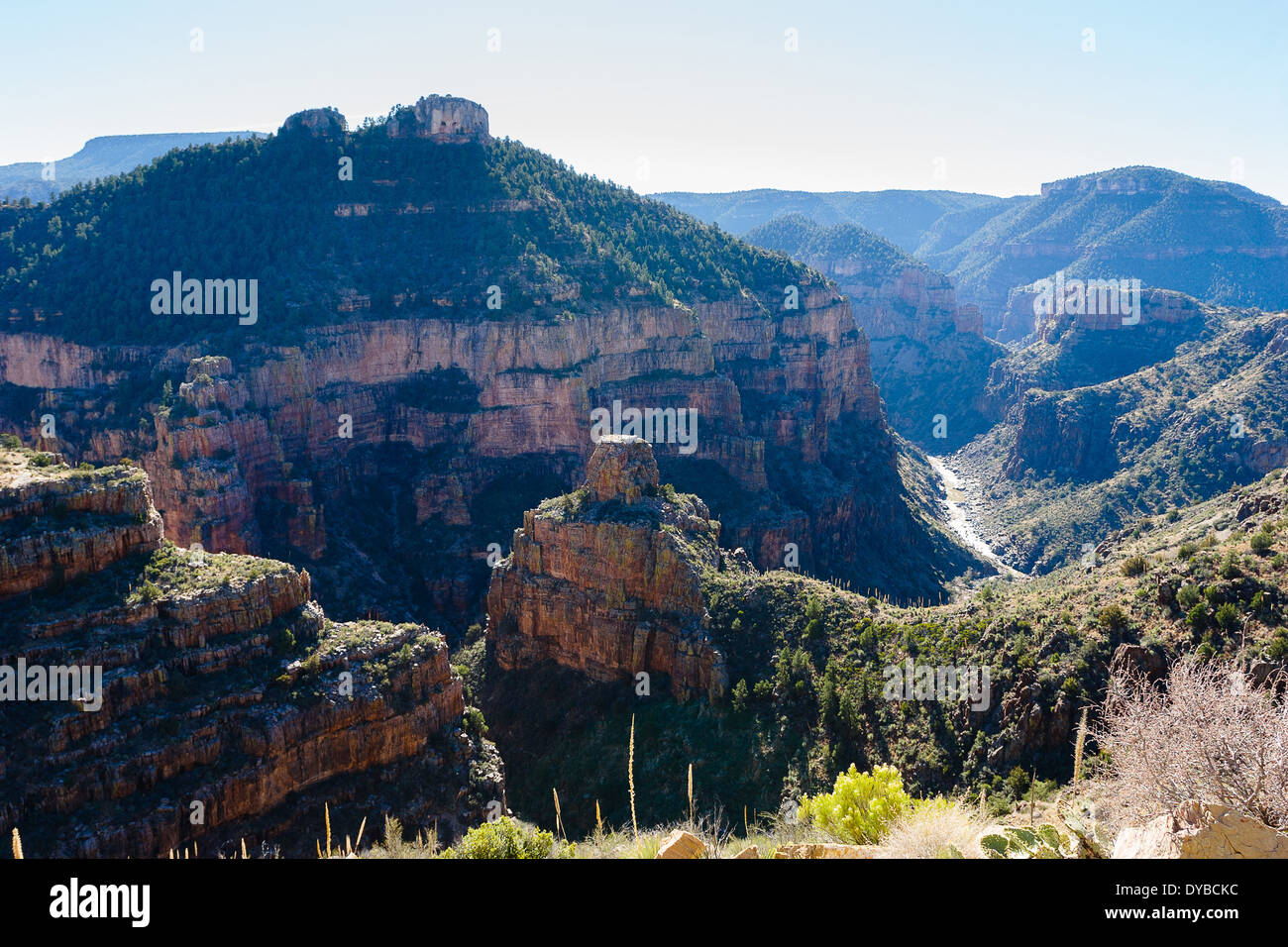 Vista di Salt River Canyon da Becker Butte belvedere sulla US 60, Globe, Arizona Foto Stock