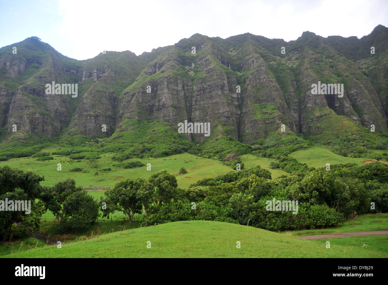 Montagne Kualoa rivolta verso la Kaaawa Valley, windward Oahu, Hawaii, STATI UNITI D'AMERICA Foto Stock