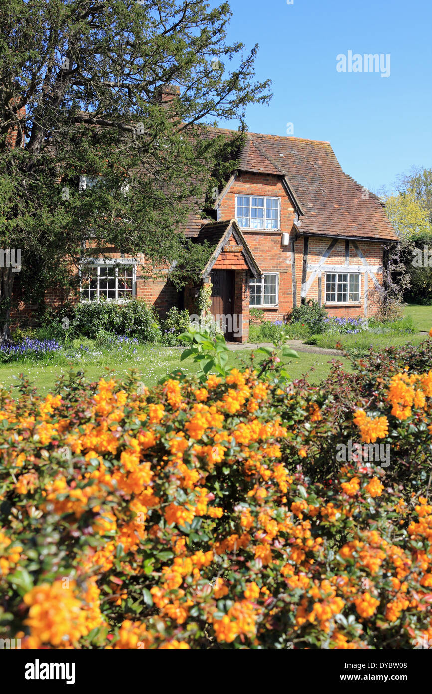 Cottage che circondano il villaggio verde a inviare Marsh vicino a Ripley, Surrey, Inghilterra, Regno Unito Foto Stock