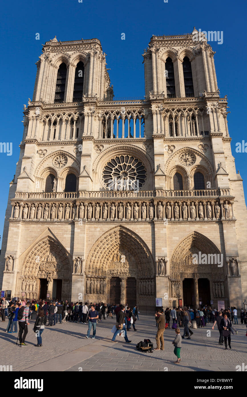 Cattedrale di Notre Dame di Parigi, Ile de France, Francia Foto Stock