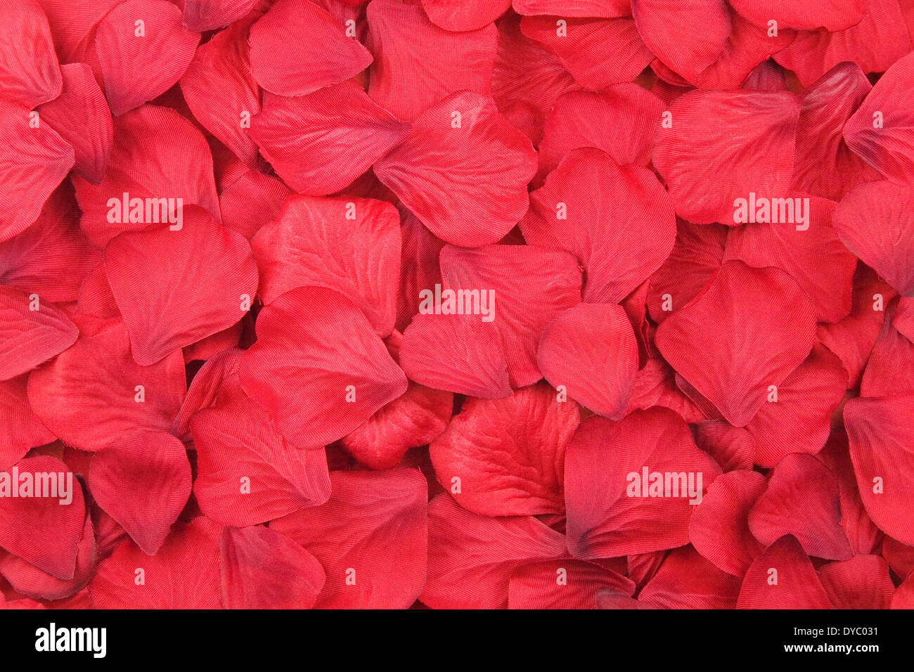 In tessuto rosso petali di rose Foto Stock