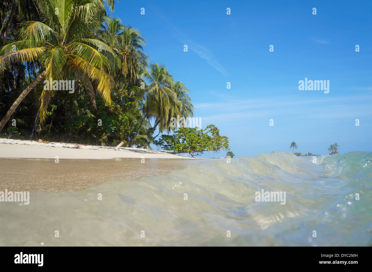 Piccole onde su una spiaggia sabbiosa con vegetazione tropicale visto dalla superficie dell'acqua, il mare dei Caraibi Foto Stock