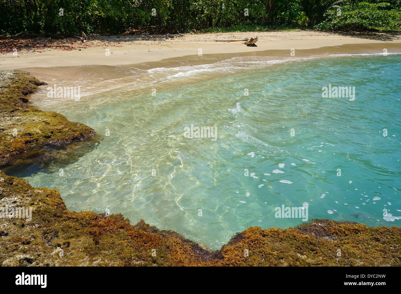 Spiaggia tropicale con piscina naturale nel mar dei Caraibi, Playa Chiquita, Puerto Viejo de Talamanca, Costa Rica Foto Stock