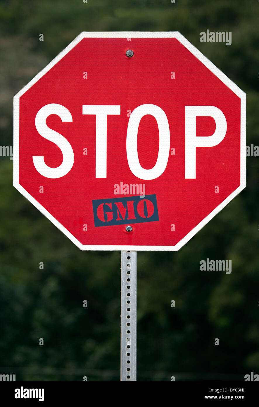 Stop con "OGM" aggiunto. Foto Stock