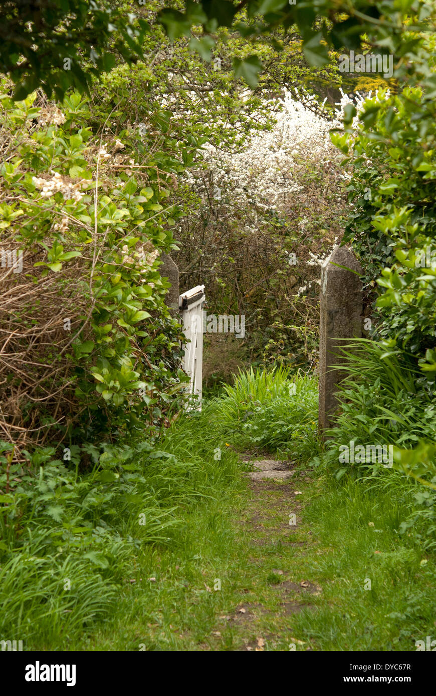Bianco Garden Gate Foto Stock