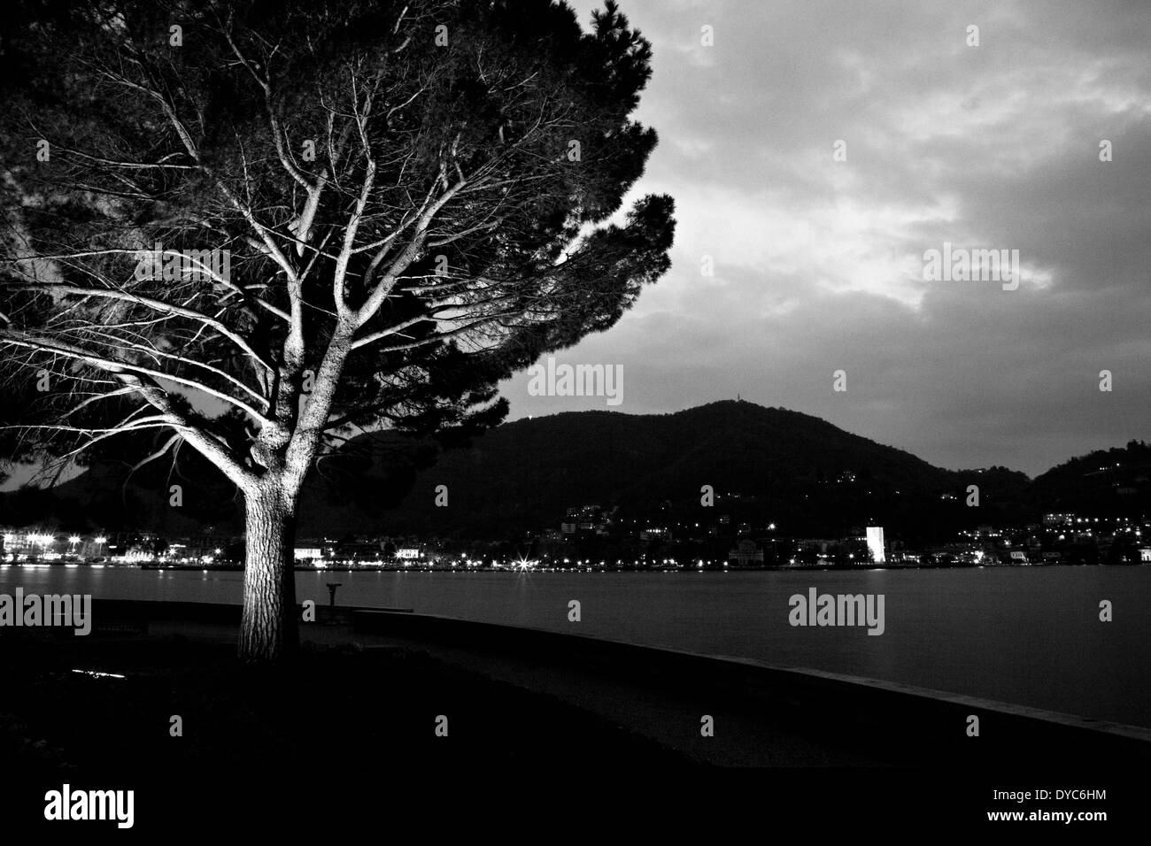 Bianco e Nero lago-lato albero Foto Stock