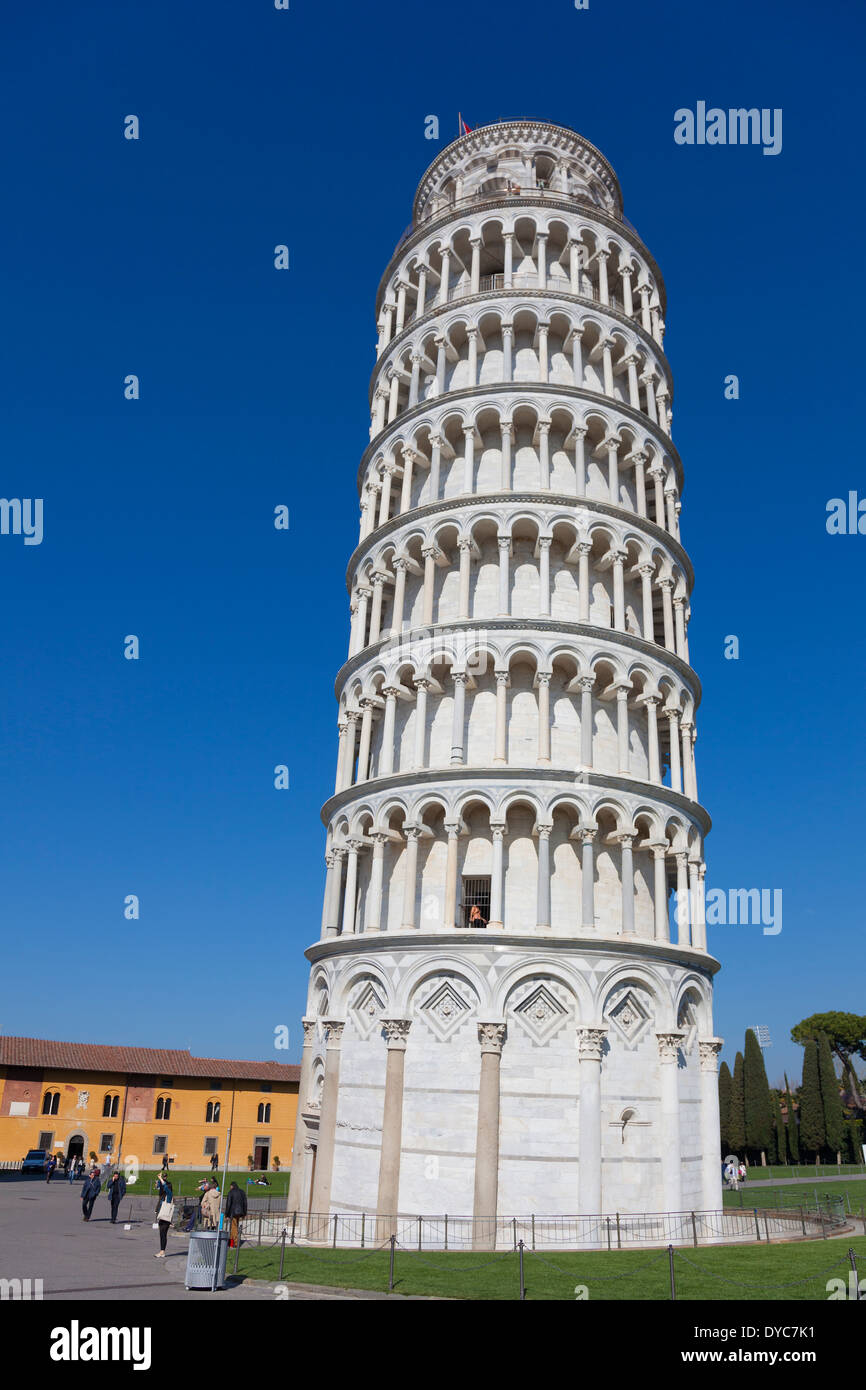 Torre di Pisa in Piazza dei Miracoli a Pisa, Toscana, Italia Foto Stock