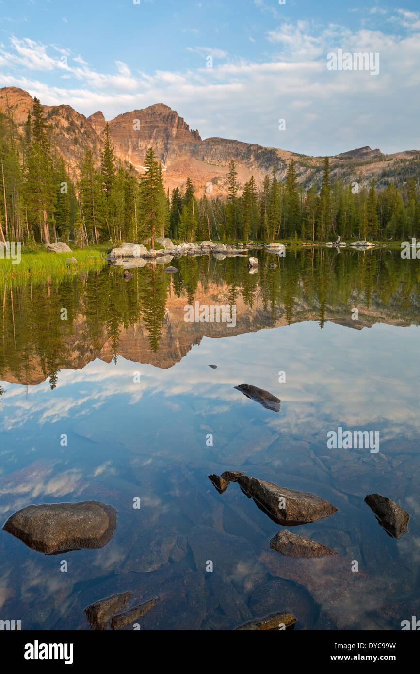 Warren Peak e Warren Lago in Anaconda Pintler Wilderness del Montana. L'estate. Stati Uniti d'America Foto Stock