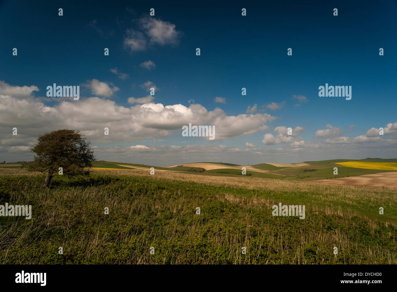Thundersbarrow Hill Iron Age Fort sulla South Downs vicino Southwick, West Sussex, Regno Unito Foto Stock