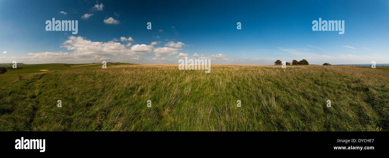 Thundersbarrow Hill Iron Age Fort sulla South Downs vicino Southwick, West Sussex, Regno Unito Foto Stock