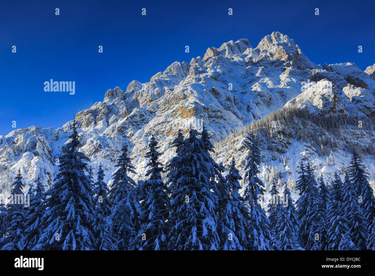 Alpi panorama alpino Visualizza struttura montagne di montagna del massiccio panorama di montagna dolomiti alberi siccità scogliera di pietra rock summit p Foto Stock