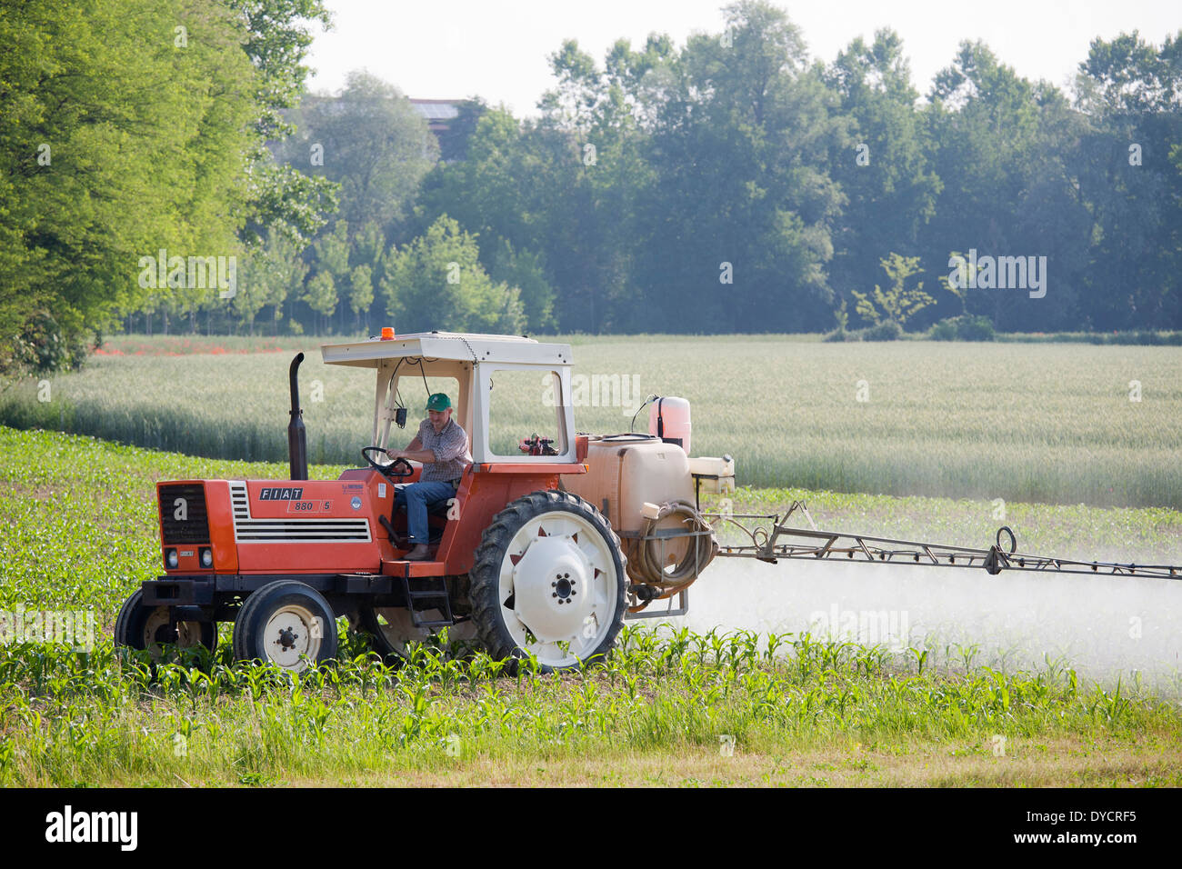 Il trattore, controllo di peste il lavoro agricolo, campagna, Langhe, provincia di Alessandria, Piemonte, Italia, Europa Foto Stock