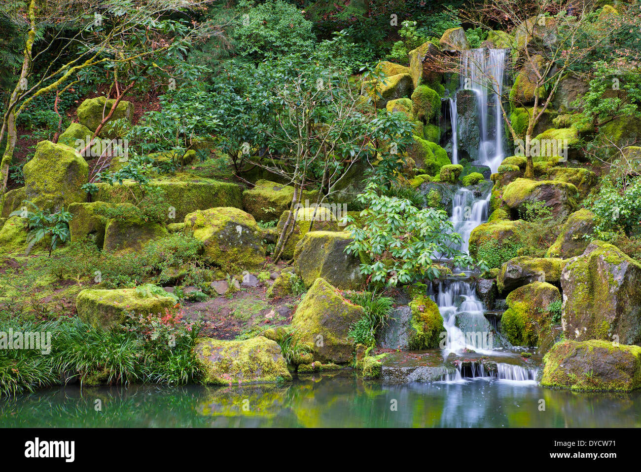 Asian Garden cascata che scorre in uno stagno circondato da moss ricoperta di rocce, alberi e altre fogliame Foto Stock