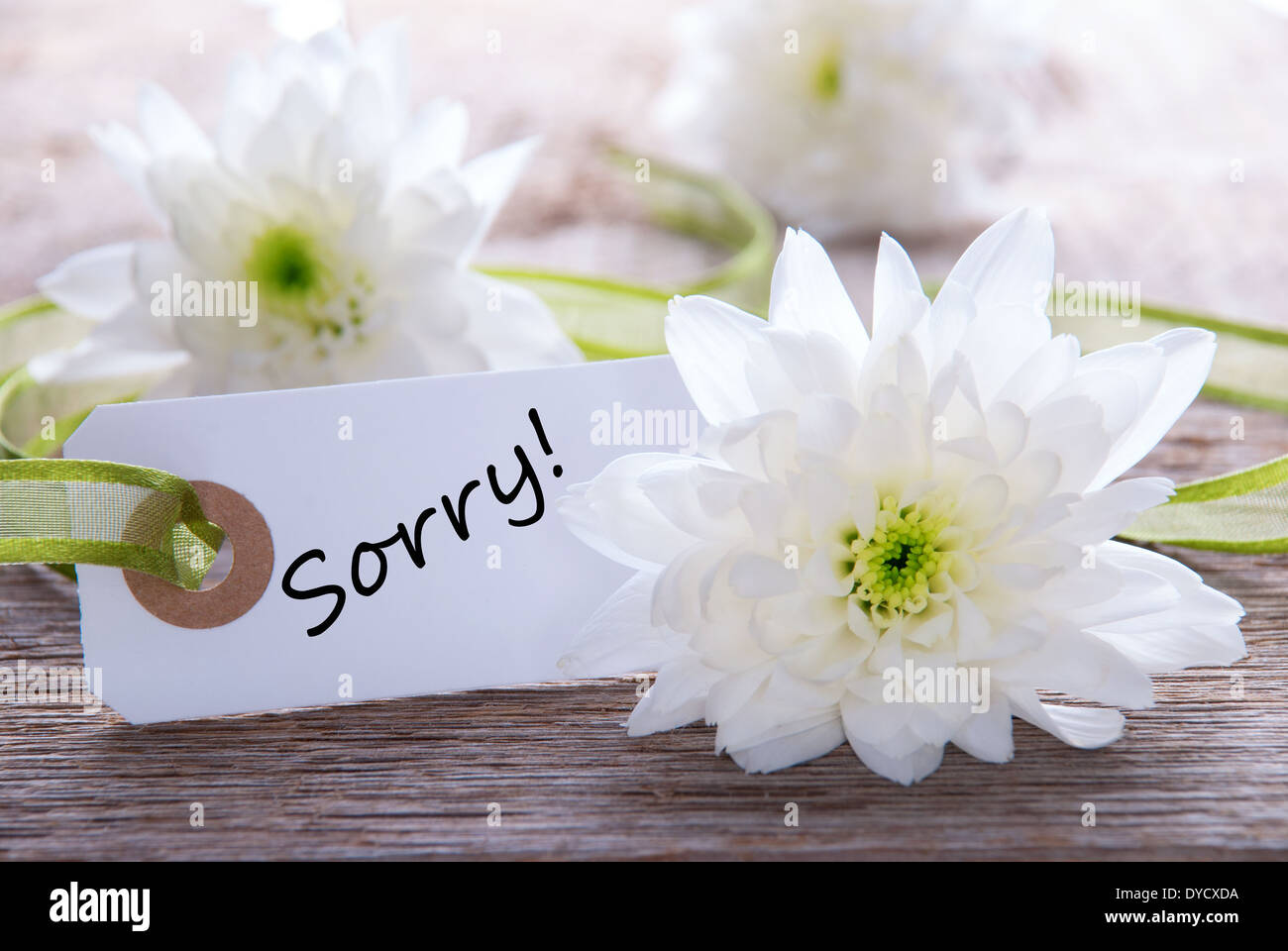 Etichetta bianca con la parola Siamo spiacenti su di esso e fiori bianchi in background Foto Stock
