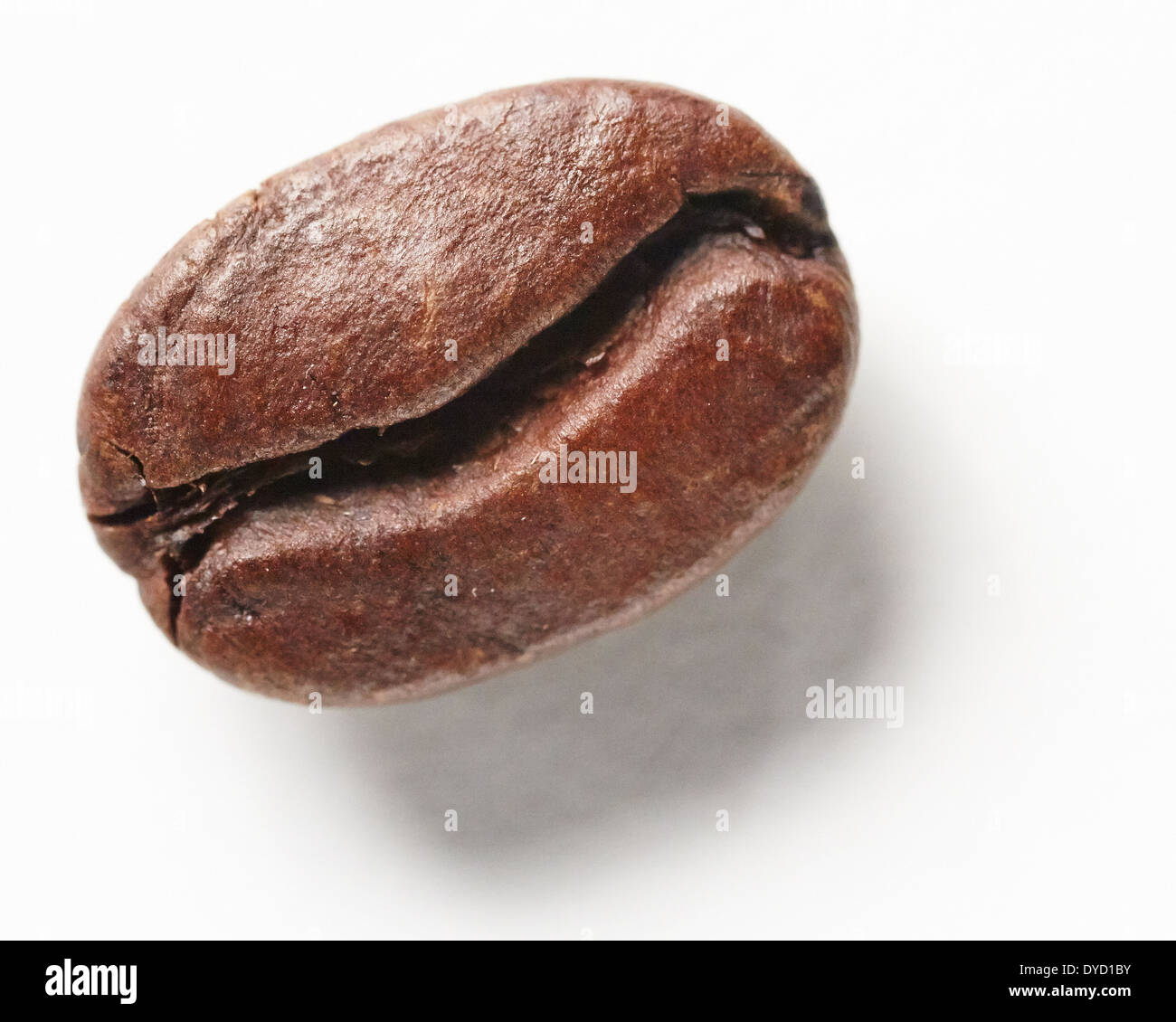 Chicco di caffè, primo piano. Foto Stock