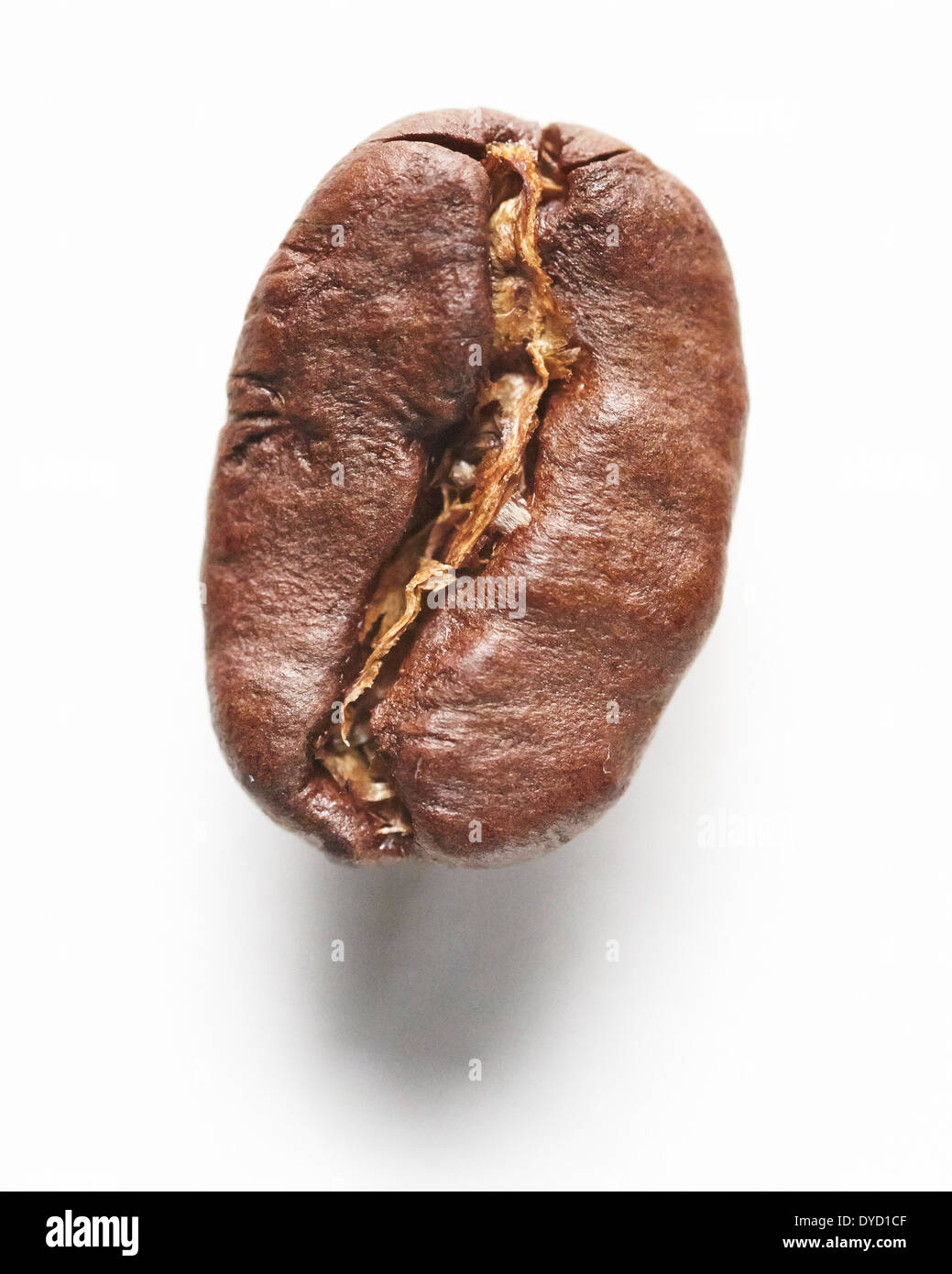 Chicco di caffè, primo piano. Foto Stock