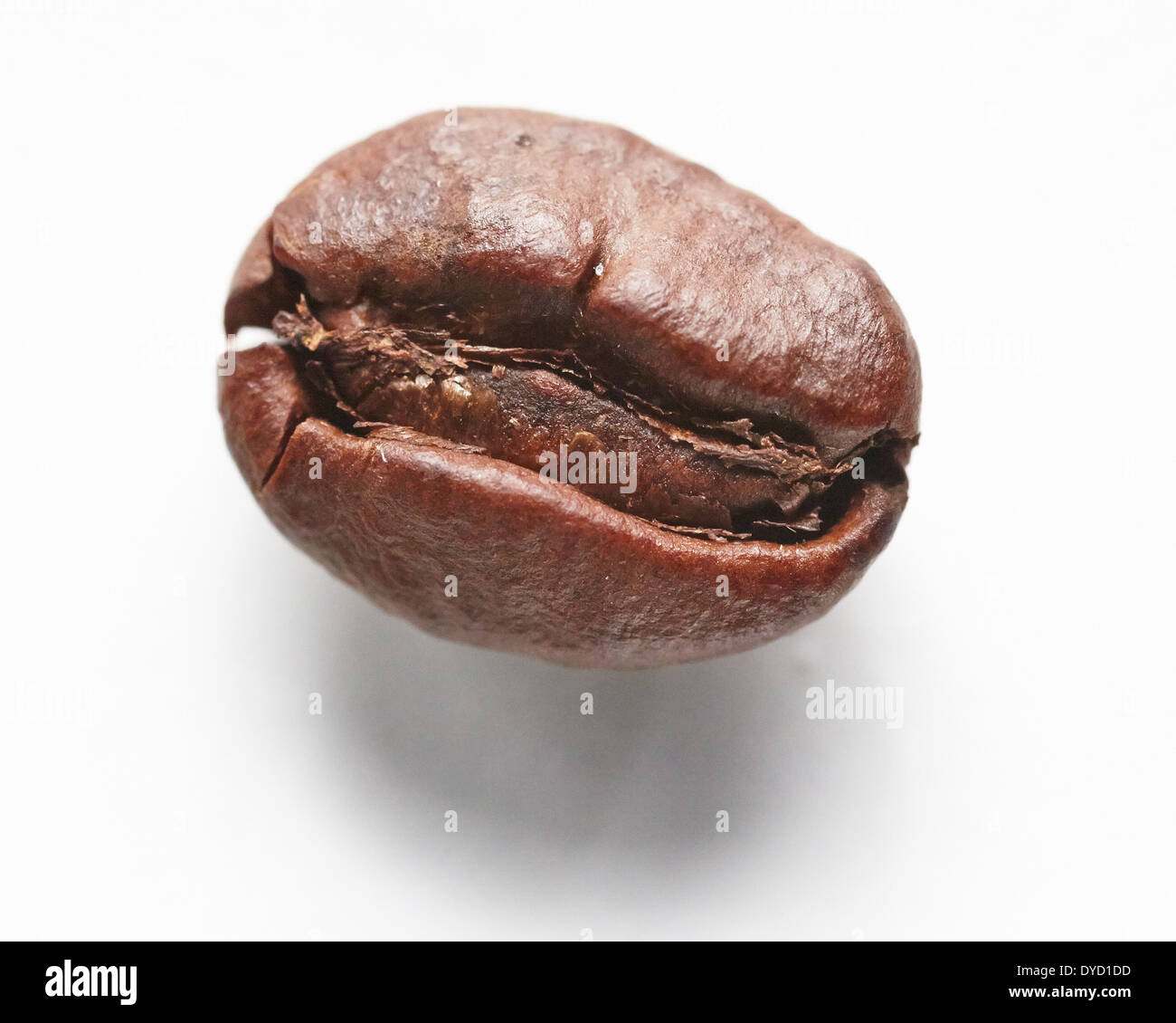 Chicco di caffè, primo piano. Foto Stock