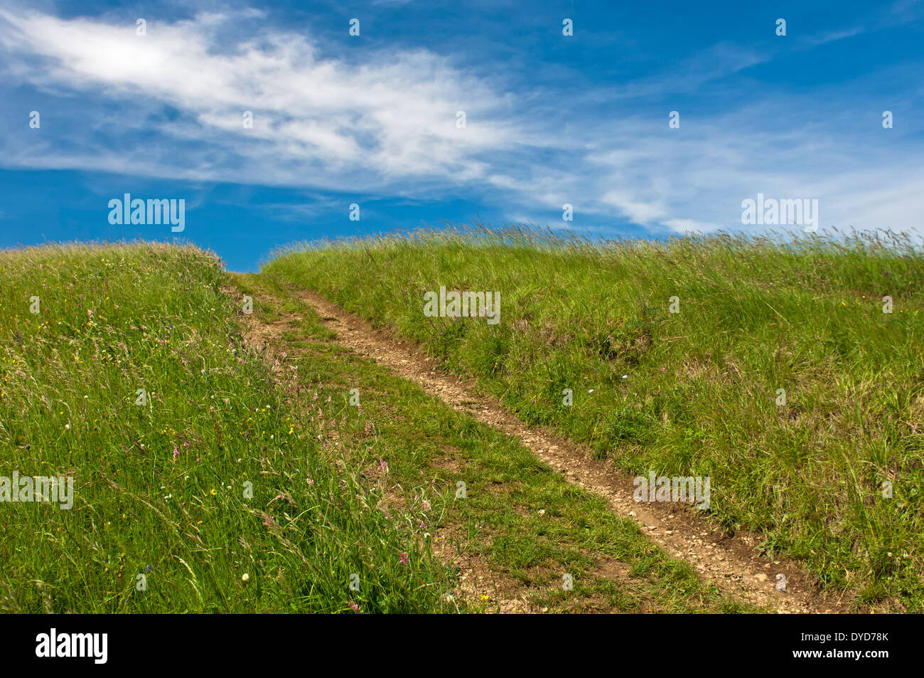 Prato estivo con la fattoria via sotto il cielo blu sulla catena montuosa del Kaiserstuhl, Baden-Wuerttemberg, Germania Foto Stock