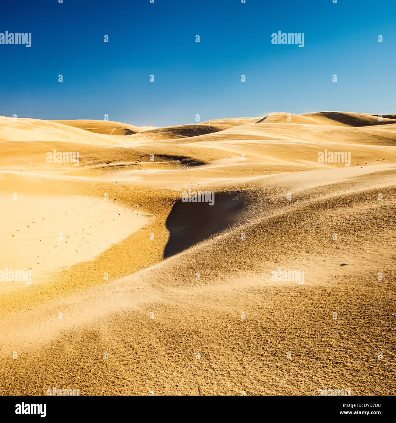 Sabbia del deserto Foto Stock