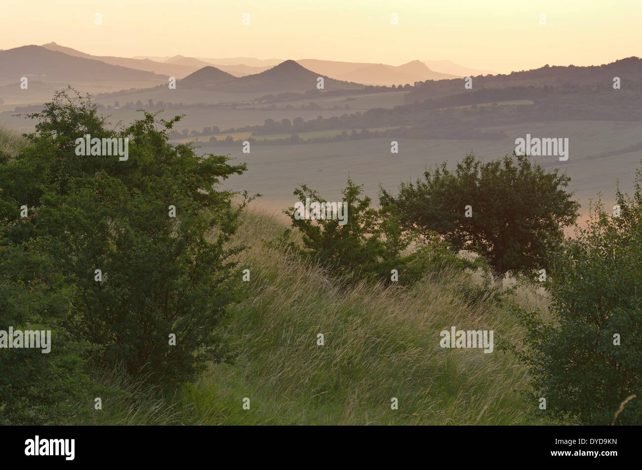 Ex cono vulcanico del paesaggio della Boemia Montagne centrale, Raná u Loun, Repubblica Ceca Foto Stock