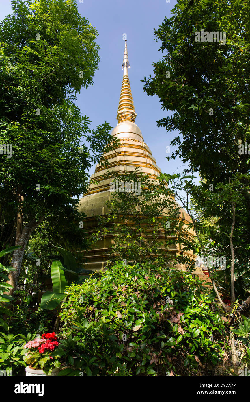 Stupa dorato nel distretto del tempio di Wat Phra Kaeo, Wat Phra Kaew, Chiang Rai, provincia di Chiang Rai, la Thailandia del Nord Foto Stock