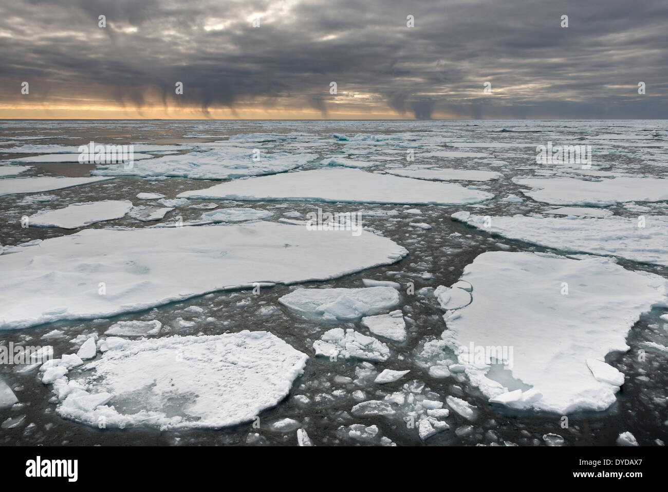 Doccia di neve da nuvole scure, il bordo del pacco-ghiaccio, Oceano Artico, isola Spitsbergen, arcipelago delle Svalbard Isole Svalbard e Jan Mayen Foto Stock