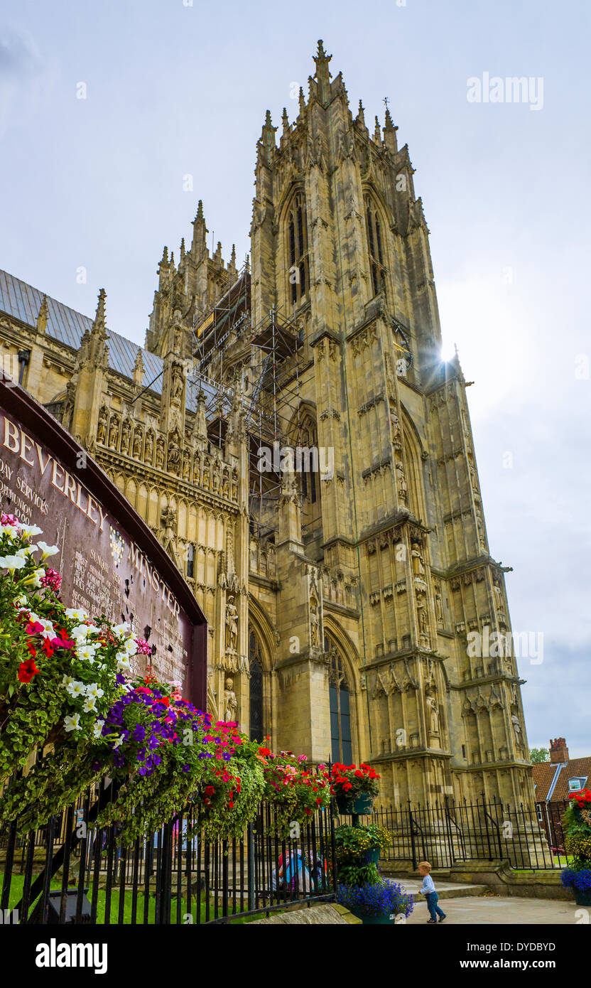 Beverly Minster è una delle più grandi chiese parrocchiali nel Regno Unito. Foto Stock