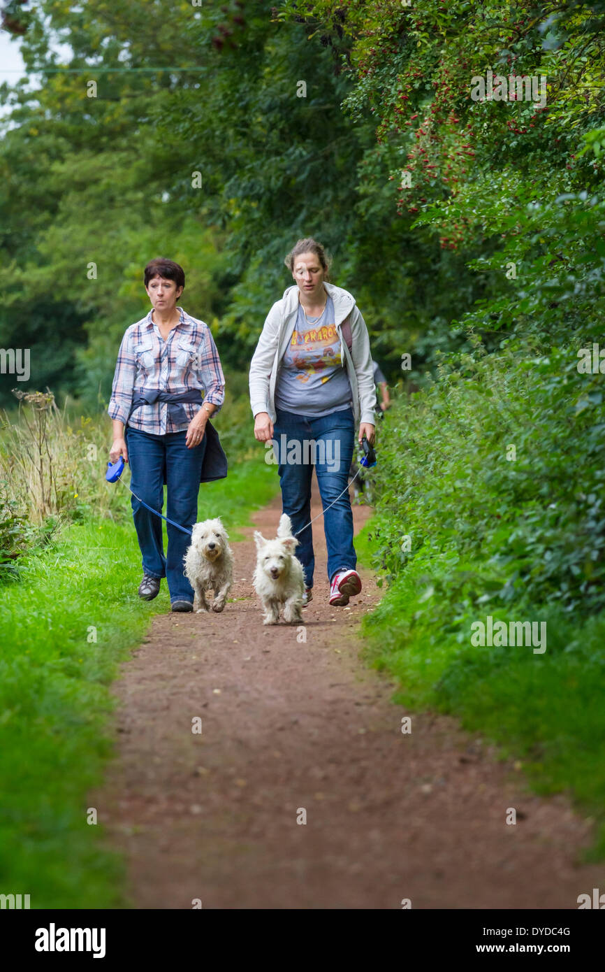 Cani a piedi lungo una strada alzaia del Canale. Foto Stock