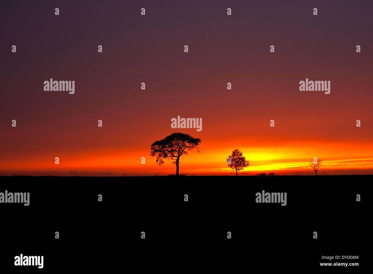 Un tempestoso tramonto sul terreno coltivato dal villaggio di Oby in Norfolk. Foto Stock